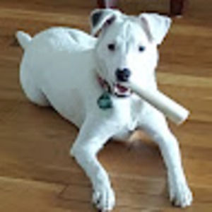 Meet your Posher, Shawn